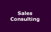 Sales Consulting